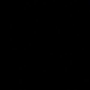 Meet your Posher, Princes