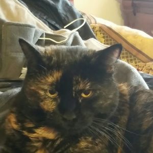 Meet your Posher, Connie