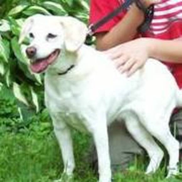 Meet your Posher, Sandy