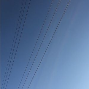 Meet your Posher, Bella