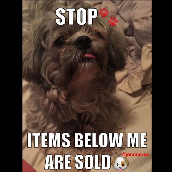 Stop🐶🐾