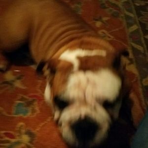 Meet your Posher, Kevin