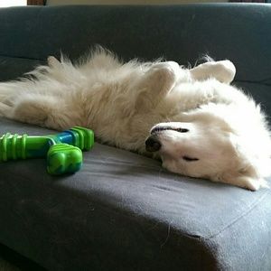 Meet your Posher, Paige