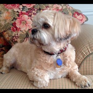 Meet your Posher, Cindy