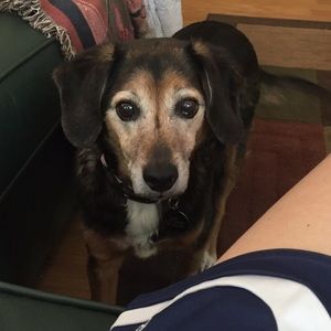 Meet your Posher, Marcella