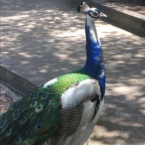 Meet your Posher, Liv