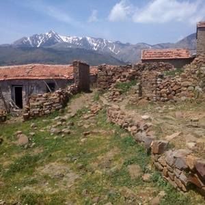 Meet your Posher, Fahima