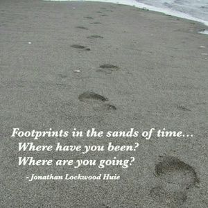 Meet your Posher, Sylvia