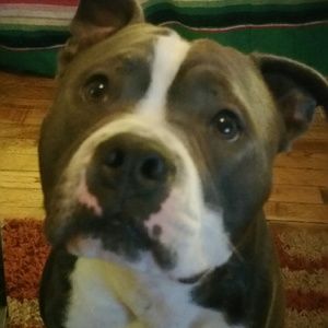 Meet your Posher, Chelsie