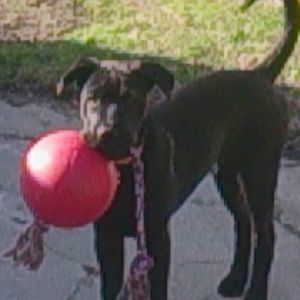 Meet your Posher, Diane