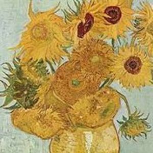 Meet your Posher, Nola