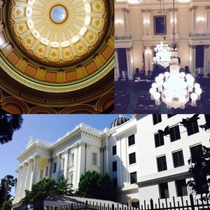 Meet your Posher, Genesis