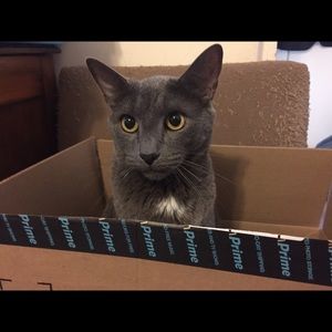 Meet your Posher, Ana