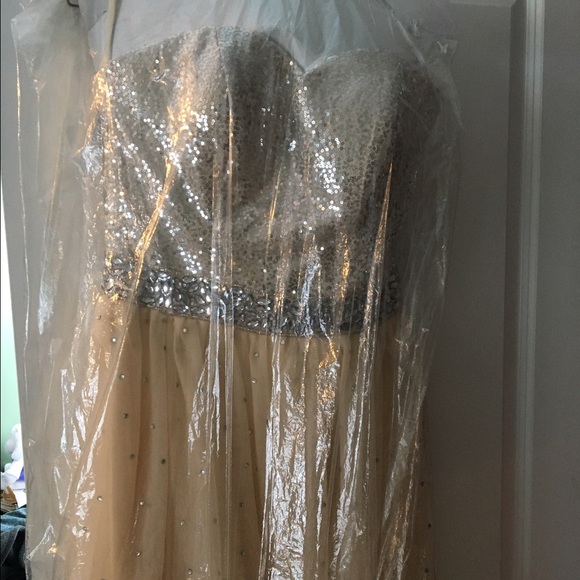 Champagne Prom gown - Picture 3 of 4