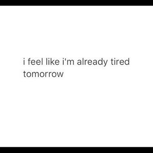 Meet your Posher, Bailey