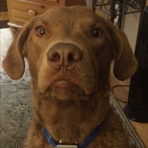 Meet your Posher, Adrienne