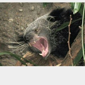 Meet your Posher, Erika