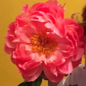 Meet your Posher, Alexa