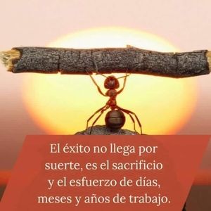 Meet your Posher, Ariana