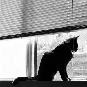 Meet your Posher, Jill