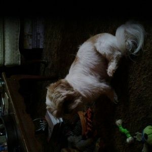 Meet your Posher, Melanie