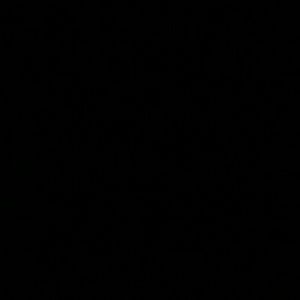 Meet your Posher, Alannah