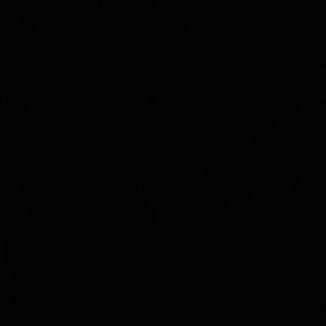 Meet your Posher, Dimitry