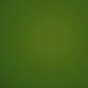 Meet your Posher, Ivan