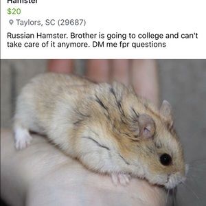 Meet your Posher, Olivia