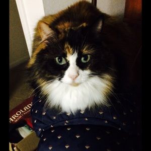 Meet your Posher, Mary louise