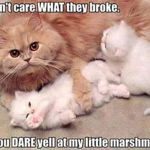 Meet your Posher, Margaret