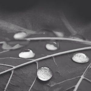 Meet your Posher, Mia