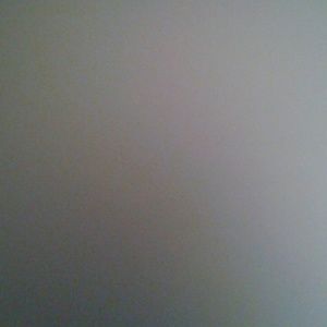 Meet your Posher, Judy