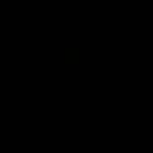 Meet your Posher, Sandy