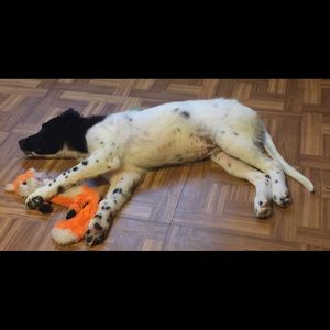 Meet your Posher, Angela