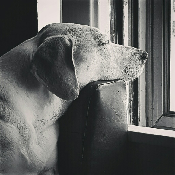 Meet your Posher, Kerri - Picture 1 of 1