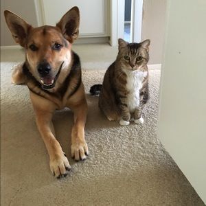 Meet your Posher, Renee