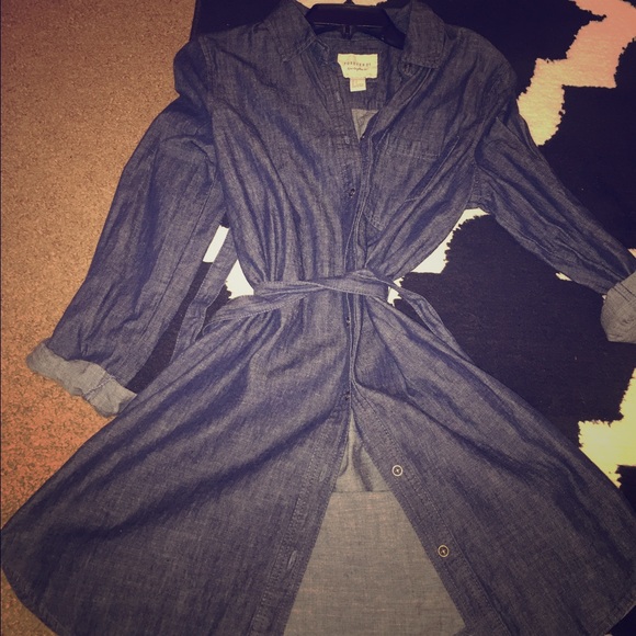 Denim button up dress