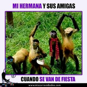 Meet your Posher, Ruth