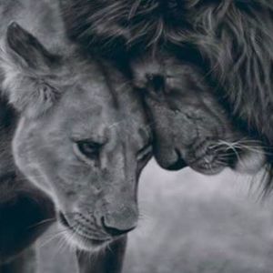 Meet your Posher, Edith