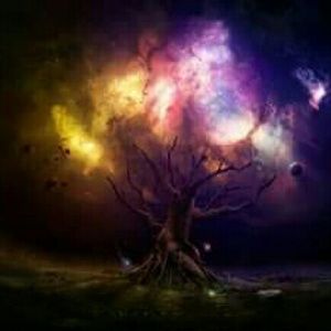 Meet your Posher, Misty