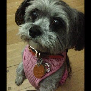 Meet your Posher, Nina