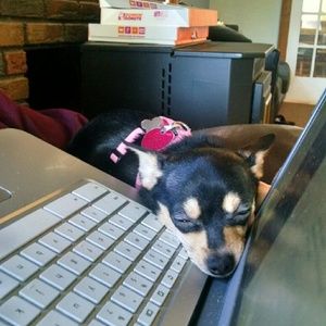 Meet your Posher, Ruth