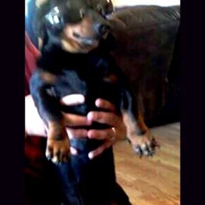 Meet your Posher, Mary