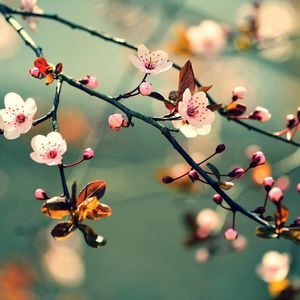 Meet your Posher, Lynne