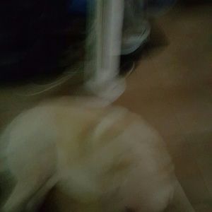 Meet your Posher, Carol ann