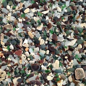 Meet your Posher, Pat