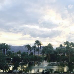 Meet your Posher, Ann