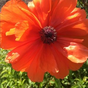 Meet your Posher, Katy