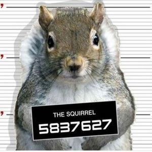 Meet your Posher, Joann